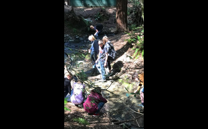 Ninth graders near a stream in a forest